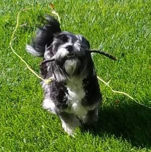 Meet your Posher, Heidi